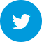 Blue Twitter icon